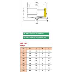 Purge avec Récupérateur de Condensats - Conduit Inox Double Paroi Isolé Ø 200mm