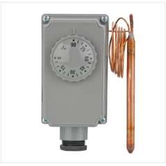 Thermostat plongeur 100 mm