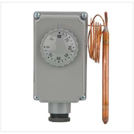 Thermostat plongeur 100 mm