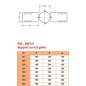Support au Toit Galvanisé - Conduit Inox Double Paroi Isolé Ø 200mm