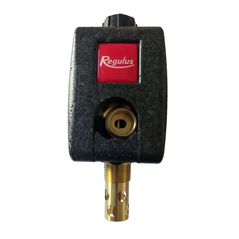 Soupape de Sécurité Thermique Anti-Surchauffe Regulus DBV1 (Isolation Incluse) Soupape de Sécurité Thermique Anti-Surchauffe Regulus DBV1 (Isolation Incluse)